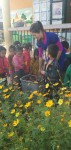 Hướng dẫn trẻ trải nghiệm tại vườn rau và vườn hoa của bé trường mầm non Luân Giói