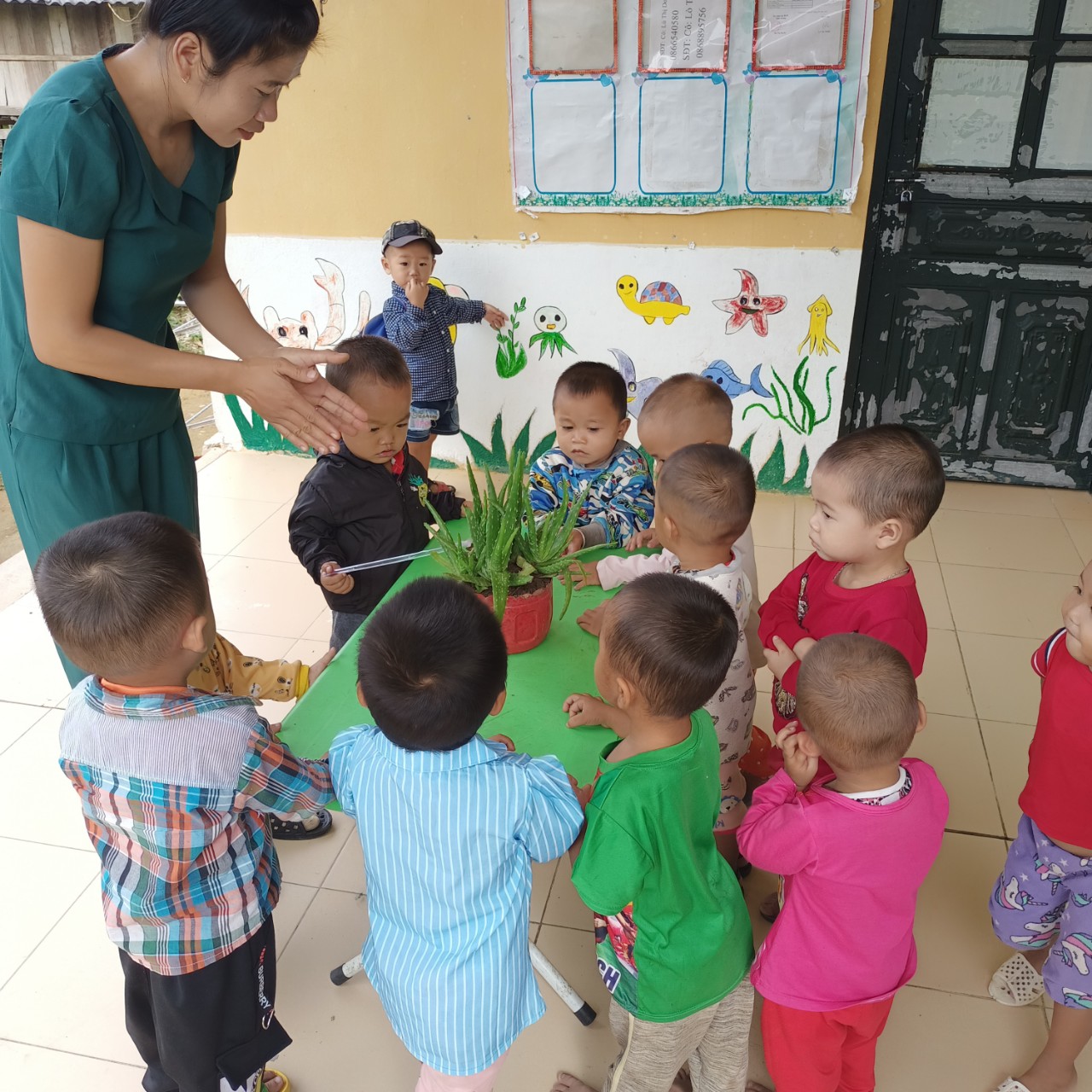 Trẻ khám phá cây nha đam-  Lớp nhà trẻ Pá Khôm